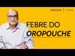 Saiba o que é a Febre do Oropouche, doença transmitida por mosquitos