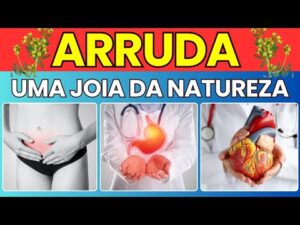 🚨SEGREDOS QUE NINGUEM TE CONTA SOBRE A ARRUDA E SEUS BENEFÍCIOS #saude #arruda #plantasmedicinais