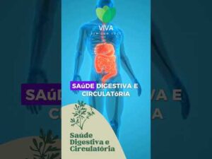 🚨REVELADA A PLANTA SAGRADA | ARRUDA E SEUS BENEFÍCIOS #saude #arruda #plantasmedicinais #shorts