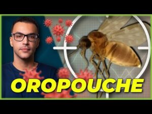 OROPOUCHE: TUDO o que você PRECISA SABER