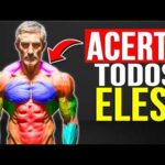 Os ÚNICOS 3 Exercícios que os Homens com Mais de 40 Anos Precisam para o Crescimento Muscular