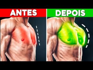 Os ÚNICOS 4 Exercícios Que Você Precisa no Treino de Peito