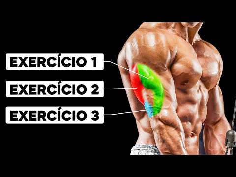 ÚNICOS 3 Exercícios que Você Precisa no Treino de Tríceps