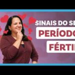 PERÍODO FÉRTIL: Como Calcular e Identificar Seus Sintomas