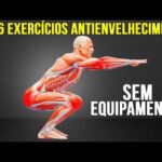 6 Exercícios para Viver Mais Treino para Longevidade