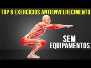 6 Exercícios para Viver Mais Treino para Longevidade