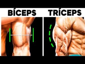 Treino para Ficar com o Braço Grande Muito RÁPIDO!